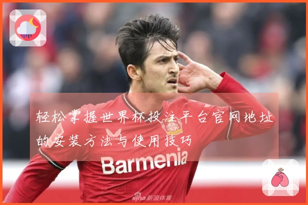 轻松掌握世界杯投注平台官网地址的安装方法与使用技巧