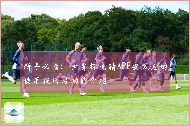 新手必看：世界杯竞猜APP安装后的使用技巧与功能介绍