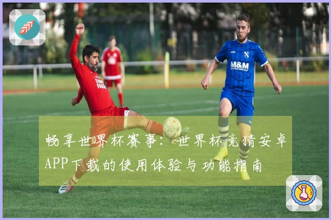畅享世界杯赛事：世界杯竞猜安卓APP下载的使用体验与功能指南